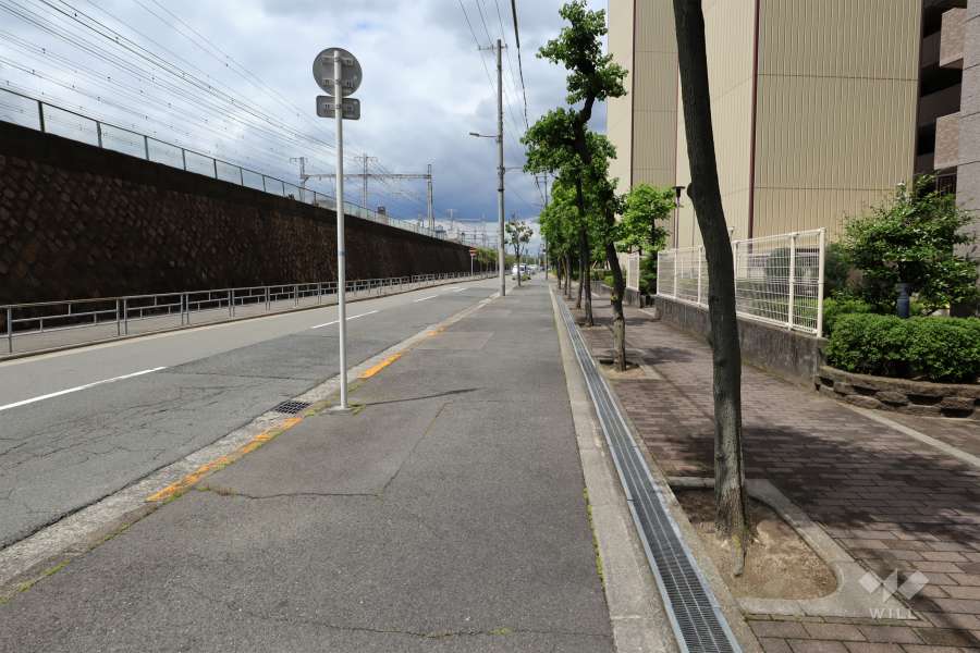 敷地西側の前面道路（南側から）