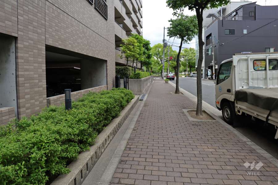 敷地東側の前面道路（南側から）