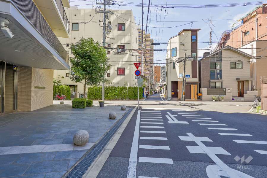 敷地西側の前面道路（北側から）