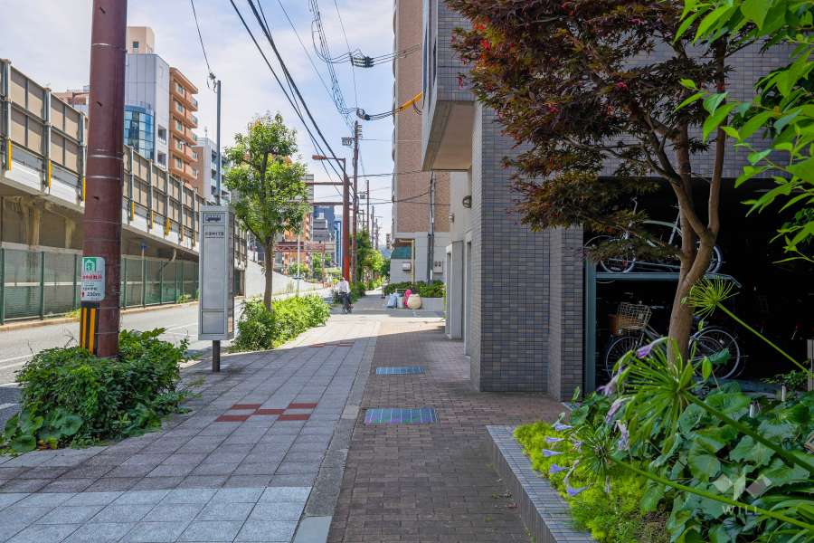 敷地東側の前面道路