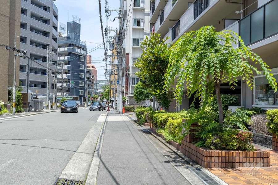 敷地西側の前面道路