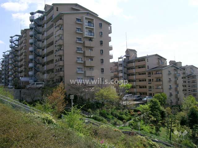 敷地の西側は緑地になっています。（1番手前が12号棟）