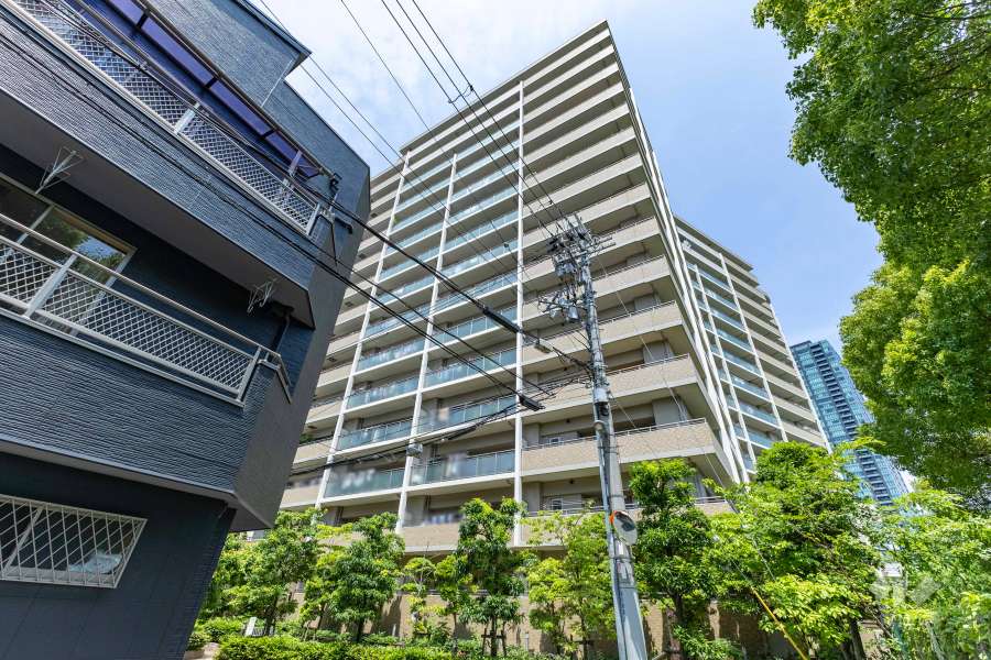 ロイヤルアーク花水都OSAKAの外観（南東側から）