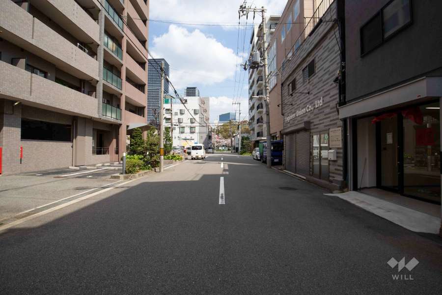 敷地南側の前面道路（西側から）