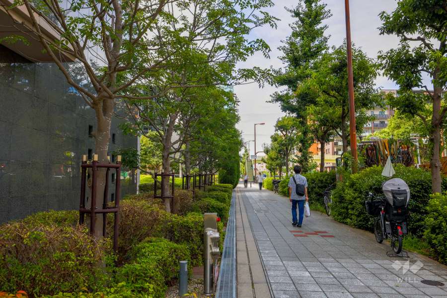 敷地東側の前面道路（南側から）