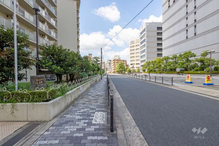 敷地の北側前面道路（東側から）