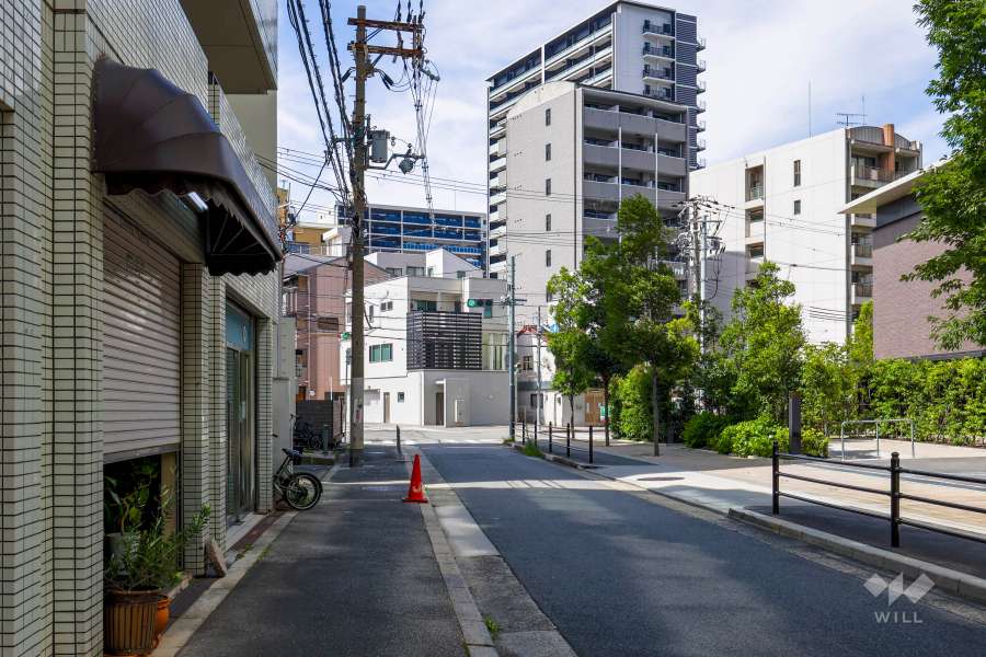敷地の東側前面道路（南側から）