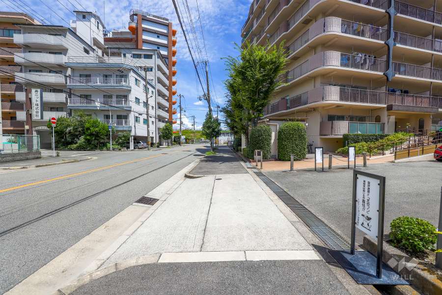 敷地の西側前面道路（南側から）