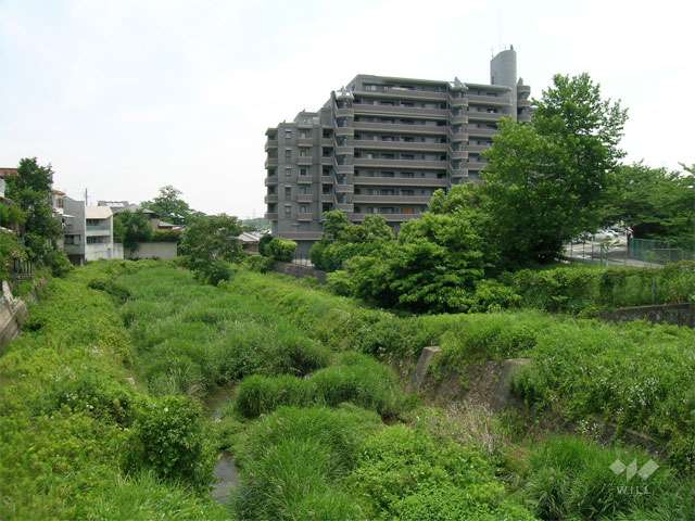 敷地の北側を流れる勝尾寺川