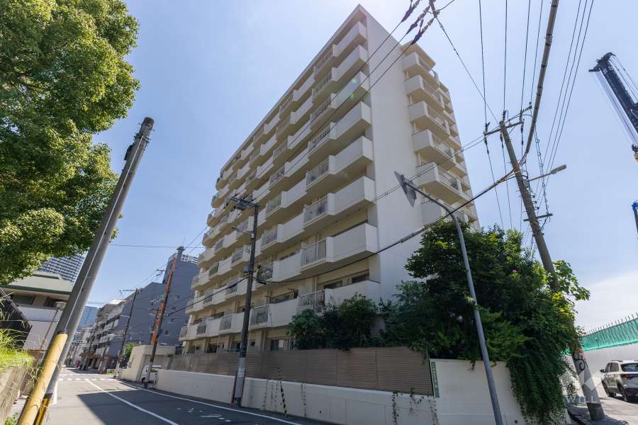 中津パークマンションの外観（北東側から）