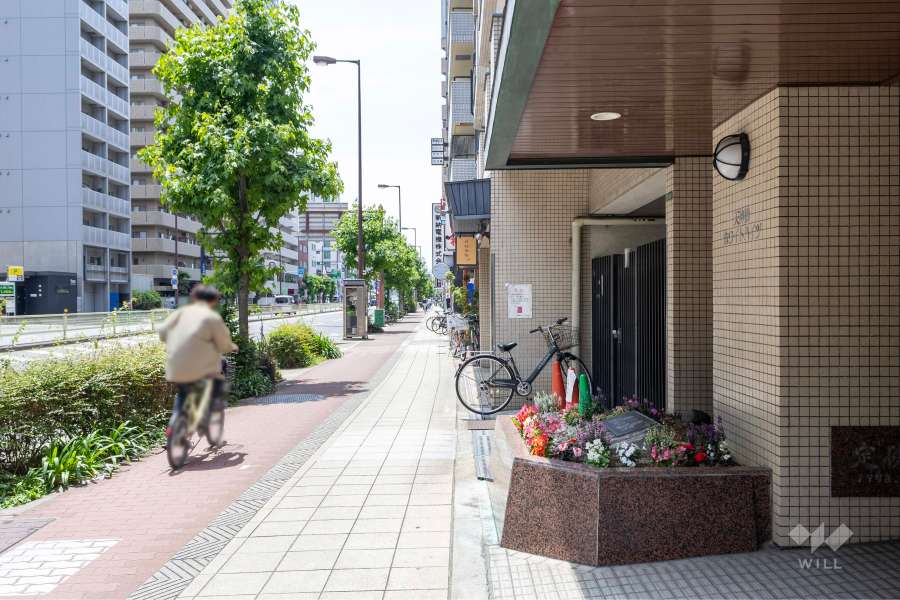 敷地の東側前面道路（北側から）