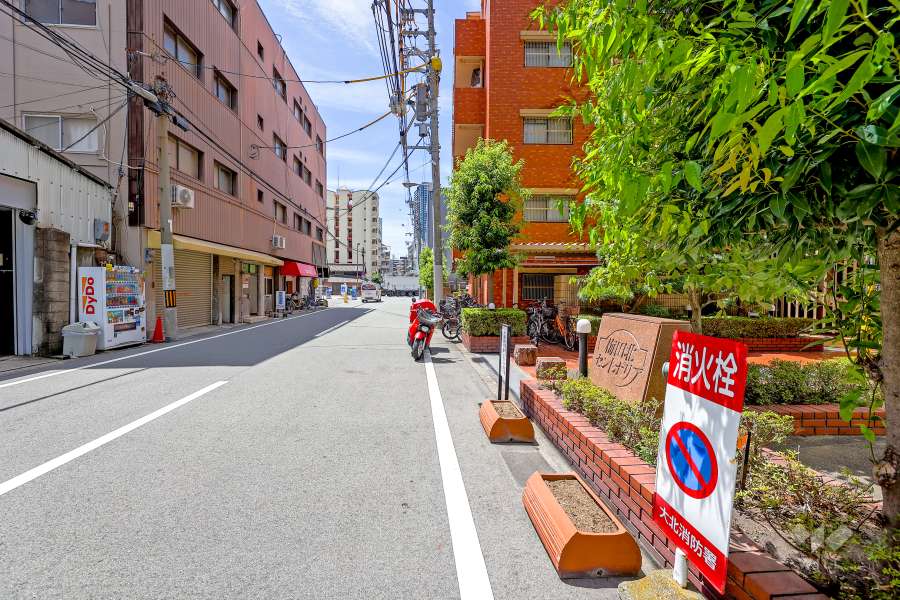 敷地の東側前面道路（北側から）