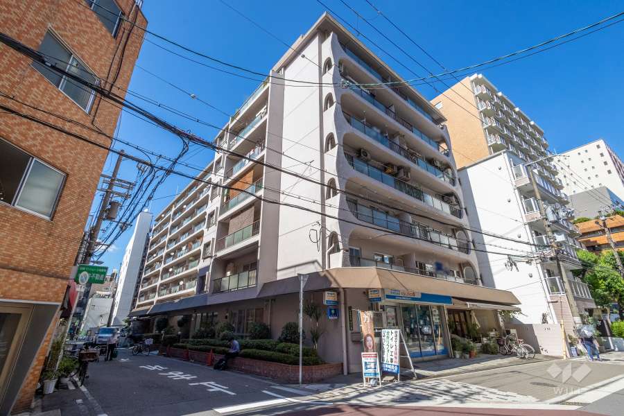 与力町スカイハイツの外観（南西側から）