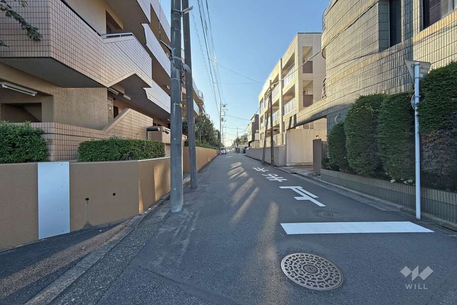 敷地の北側前面道路（東側から）