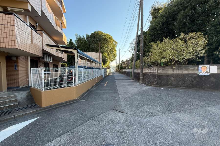 敷地の西側前面道路（北側から）