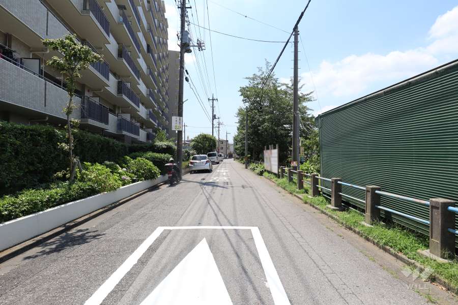 敷地の西側前面道路（北側から）