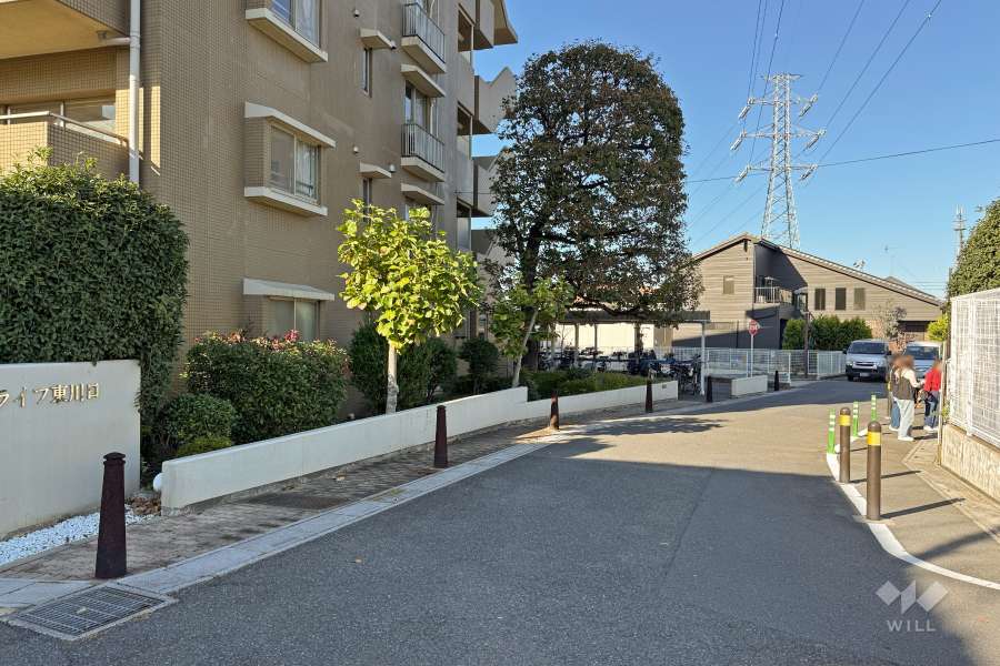 敷地東側の前面道路（南側から）