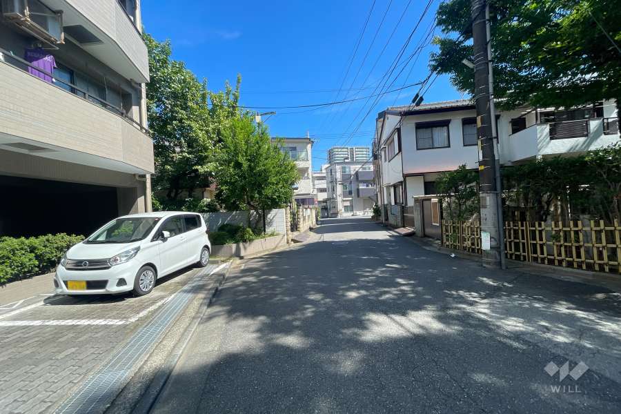 敷地の東側前面道路（南側から）