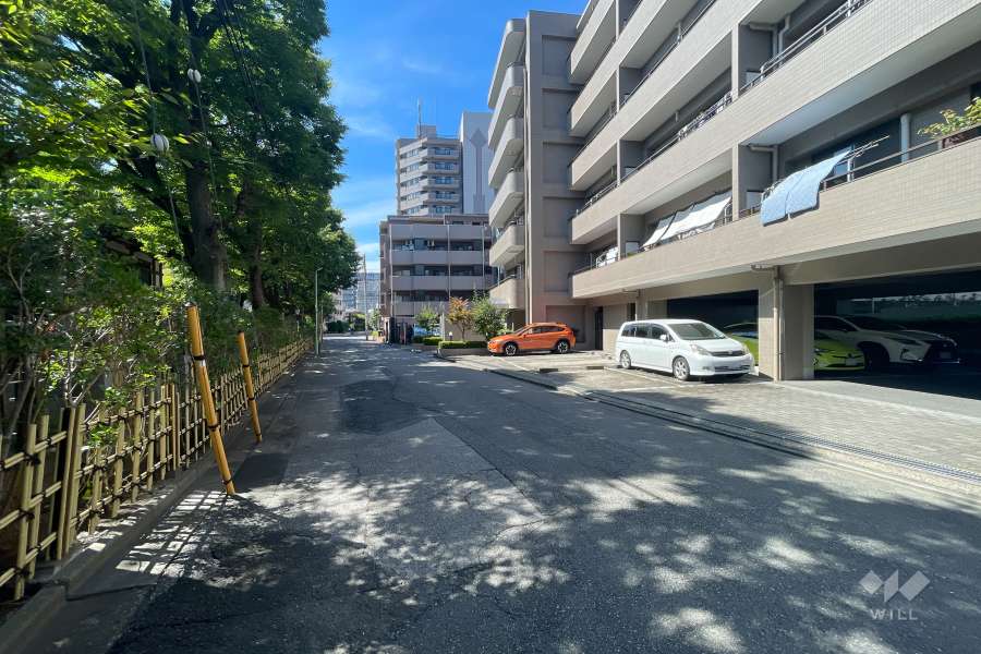 敷地の東側前面道路（北側から）