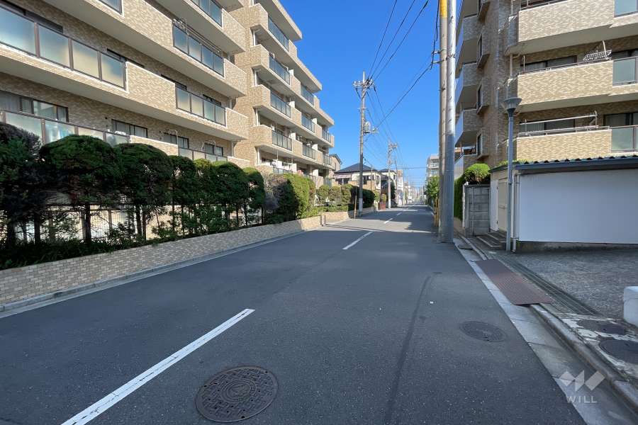 敷地の東側前面道路（南側から）