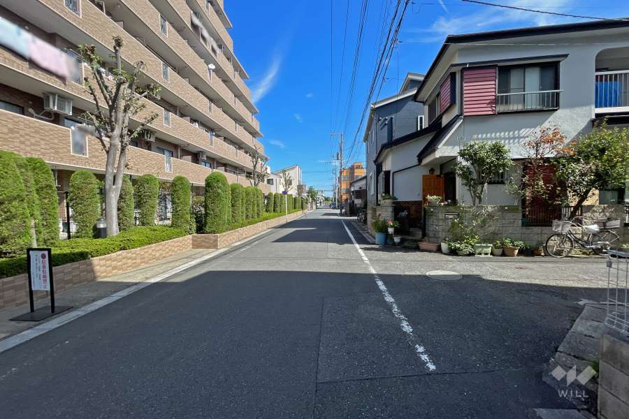 敷地南側の前面道路（西側から）