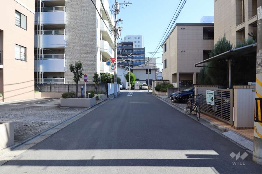 敷地南側の前面道路（西側から）