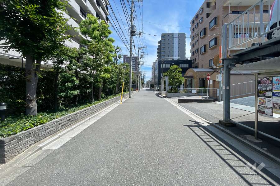 敷地南側の前面道路