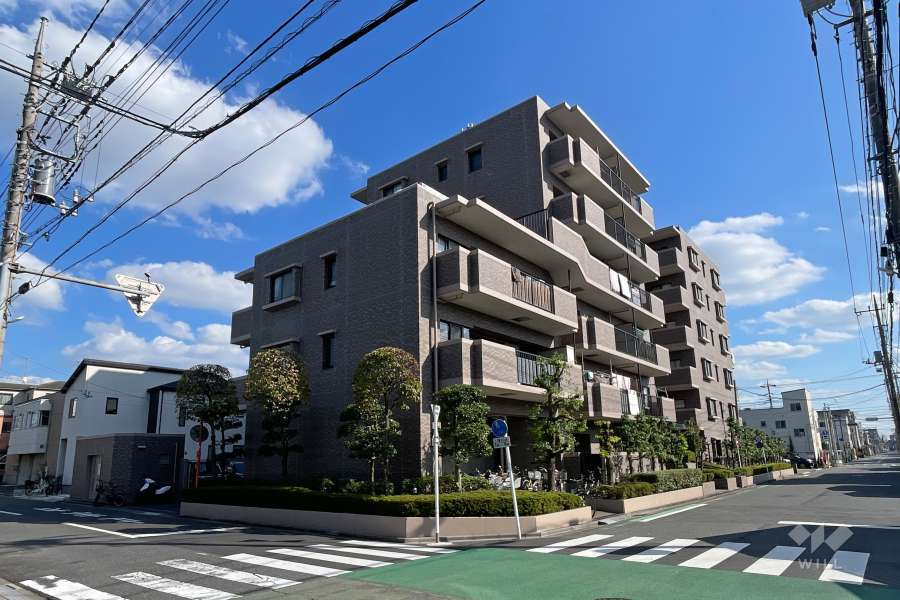 ソフィア川口の外観（北西側から）