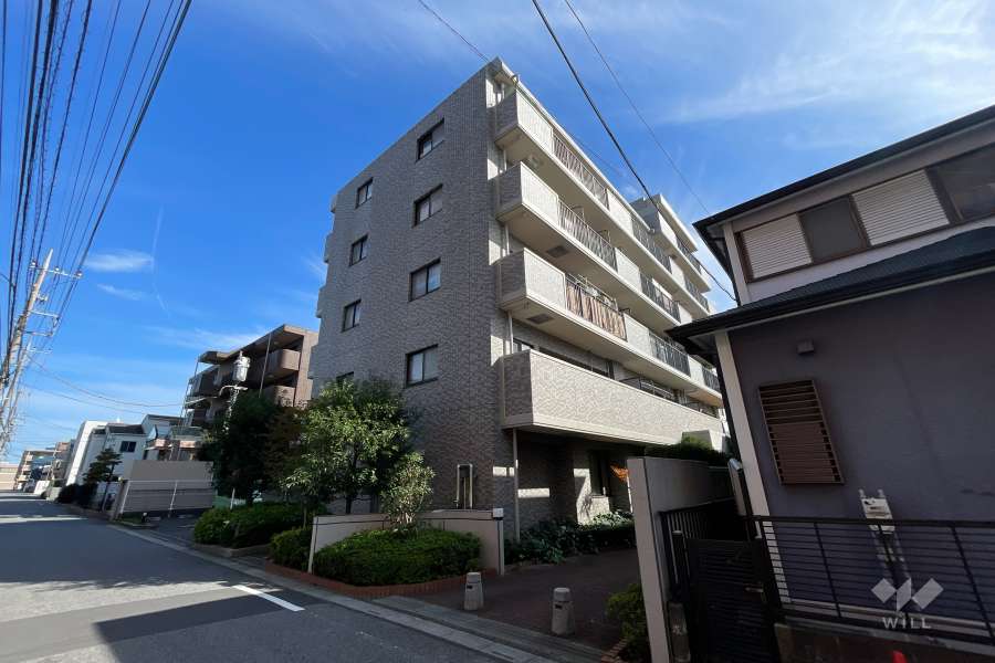 ソフィア東川口の外観（北西側から）