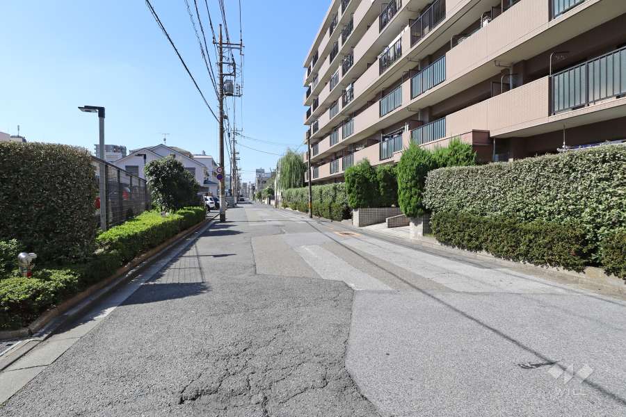敷地南側の前面道路（東側から）
