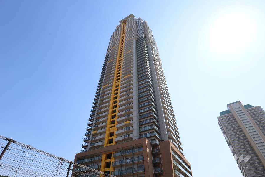 エルザタワー55の外観（北西側から）