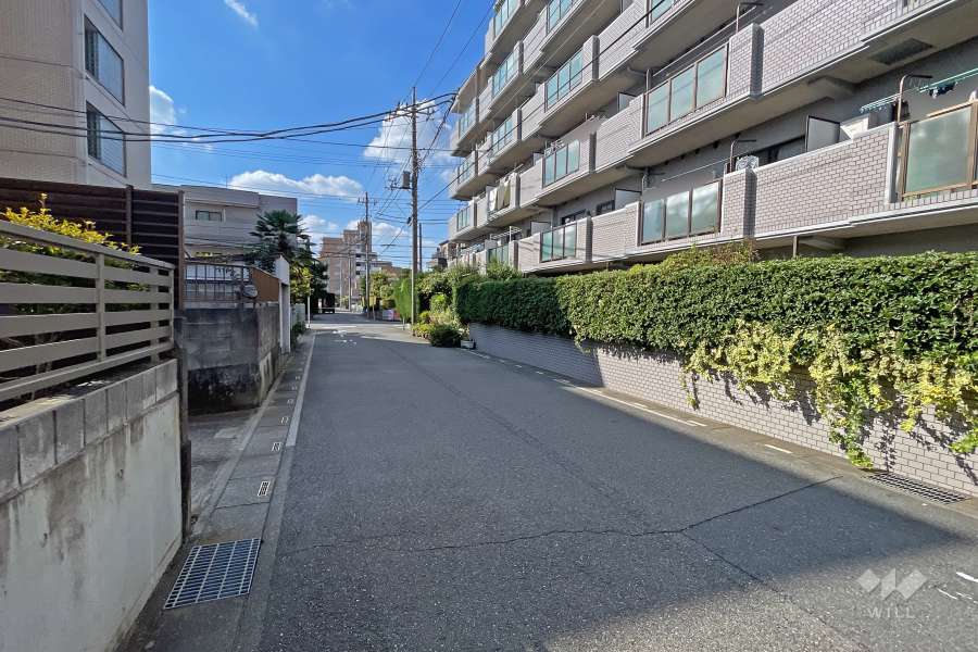 敷地の南側前面道路（西側から）