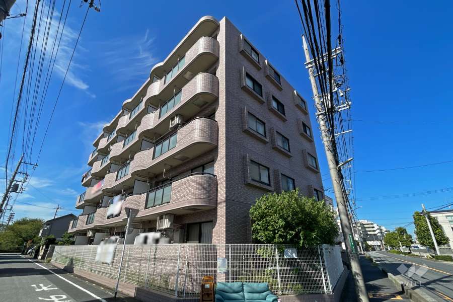 ダイアパレス東川口2の外観（南東側から）