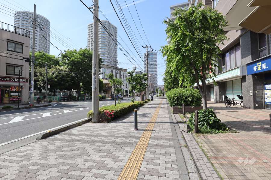 敷地の西側前面道路（南側から）