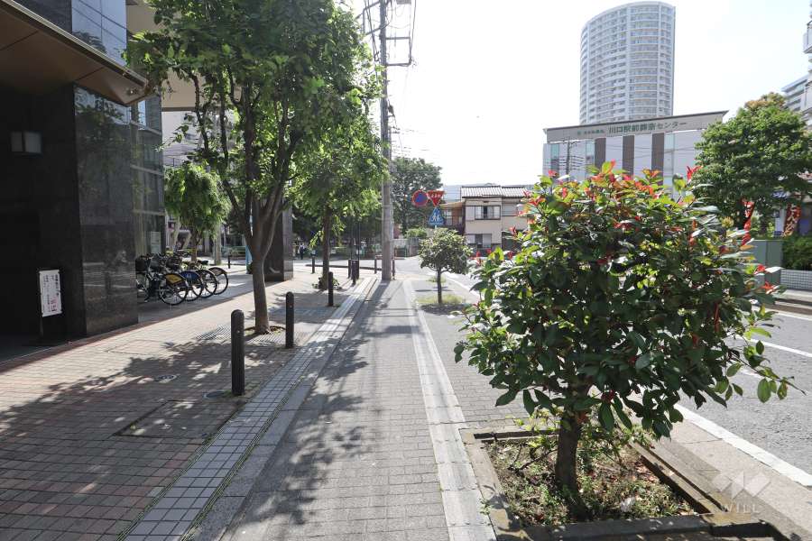 敷地の北側前面道路（東側から）