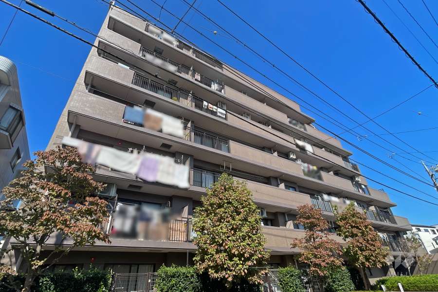 コスモ川口朝日町の外観（南側から）