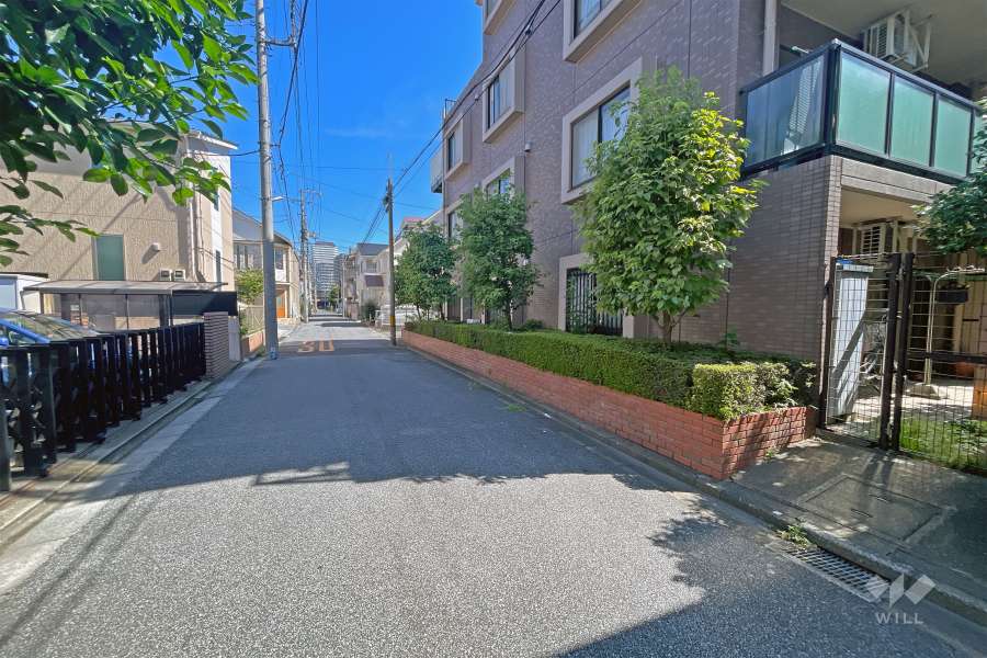 敷地の西側前面道路（南側から）