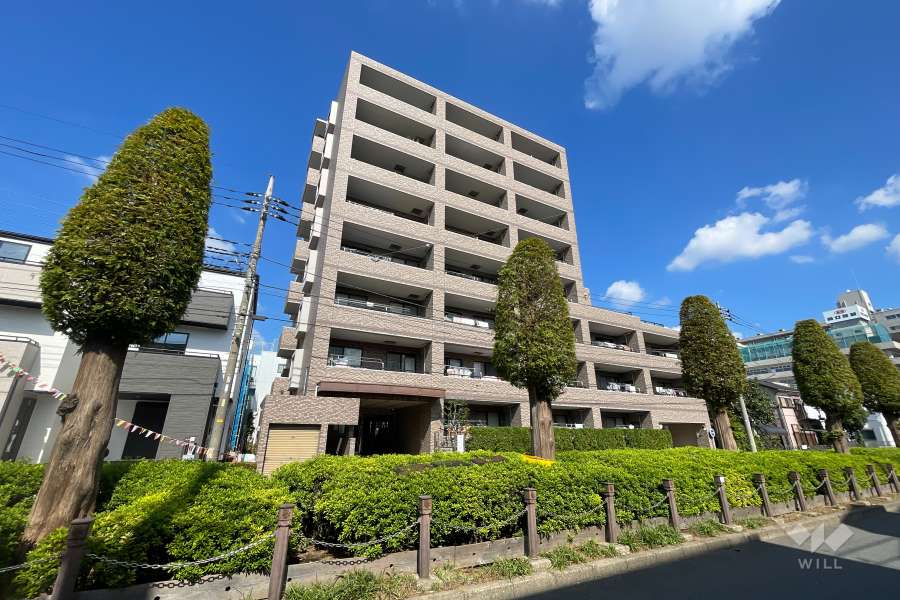 レクセル西川口の外観（南西側から）