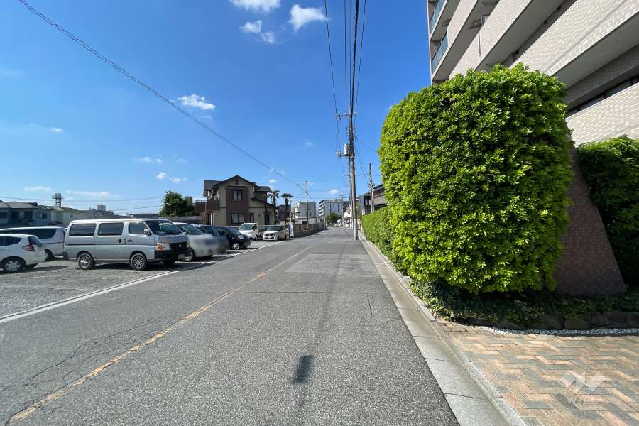 敷地の南側前面道路（東側から）