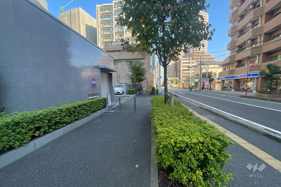 敷地東側の前面道路　