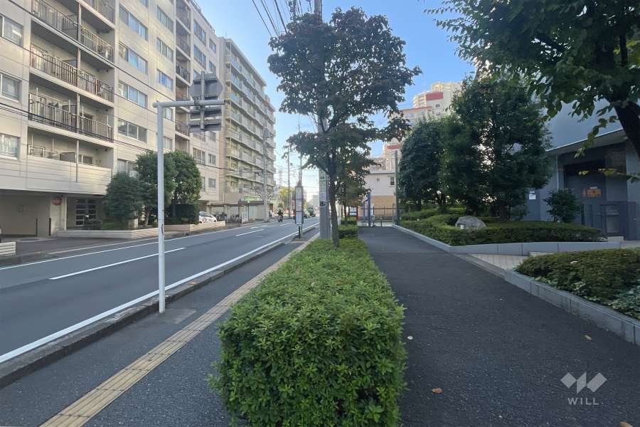 敷地東側の前面道路　　