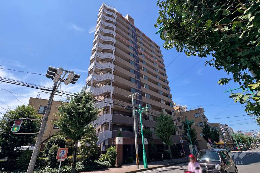 ステイツ西川口の外観(北東側から）