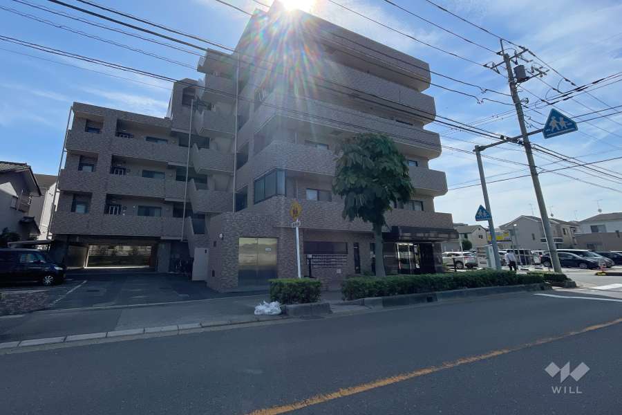 東川口第８サニーコートの外観（北東側から）