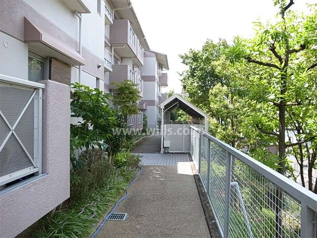 ４号棟北側の通路。敷地の北側は一段低く抜けています。