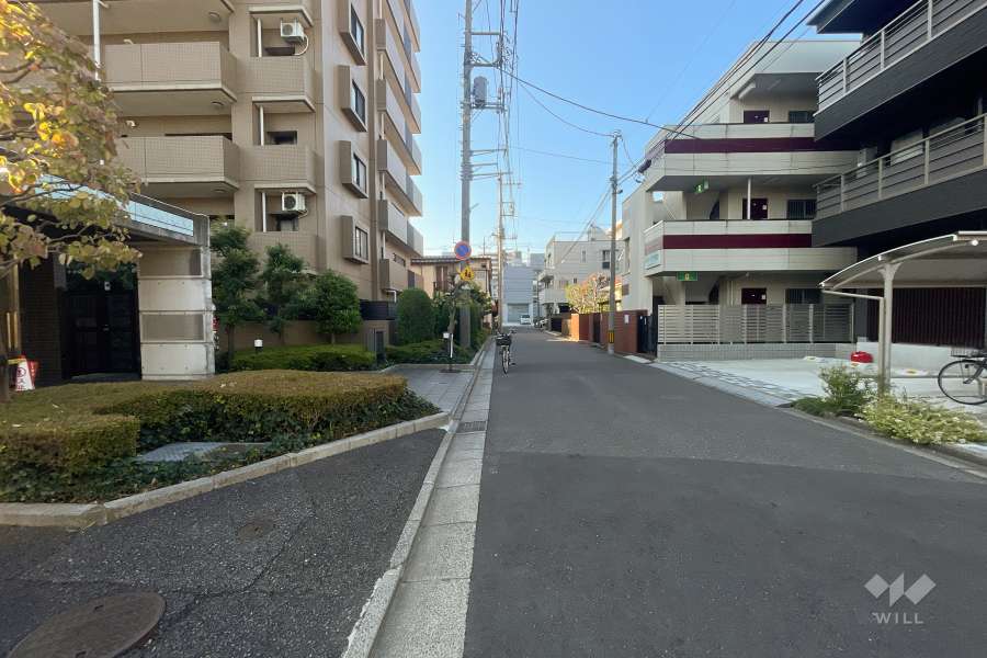 敷地の西側前面道路（北側から）