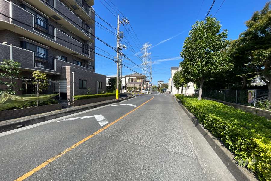 敷地の北東側前面道路（南東側から）