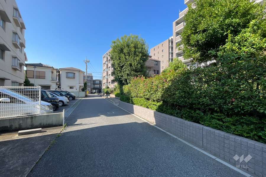 敷地南東側の前面道路