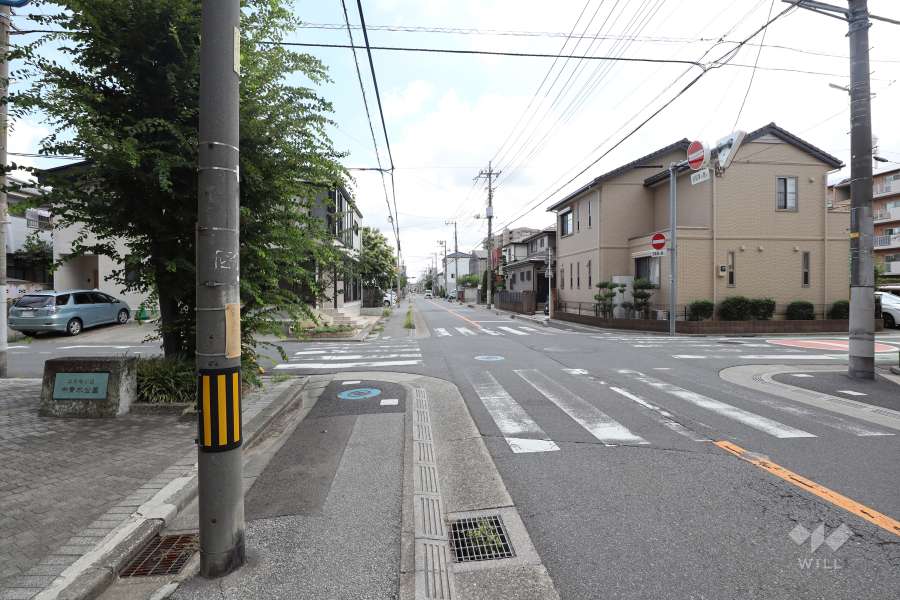 敷地南側の前面道路（西側から）