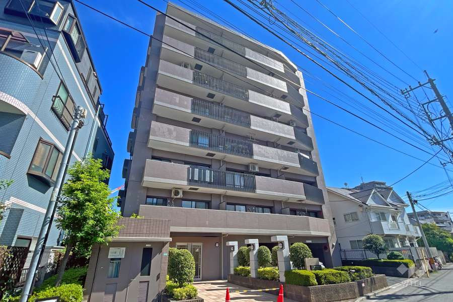 コスモ川口リバーステージの外観（南西側から）