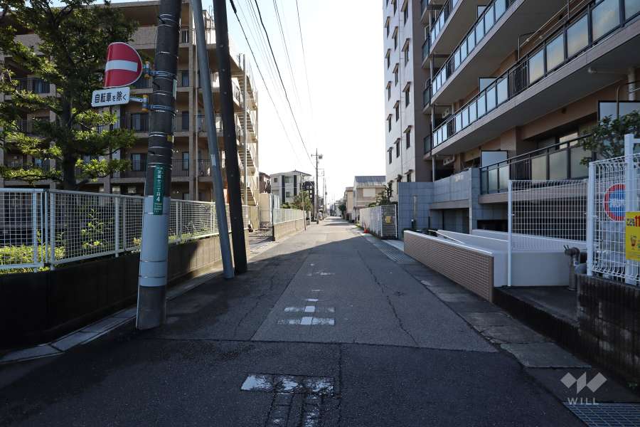 敷地東側の前面道路（北側から）